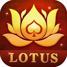 teen patti top card download